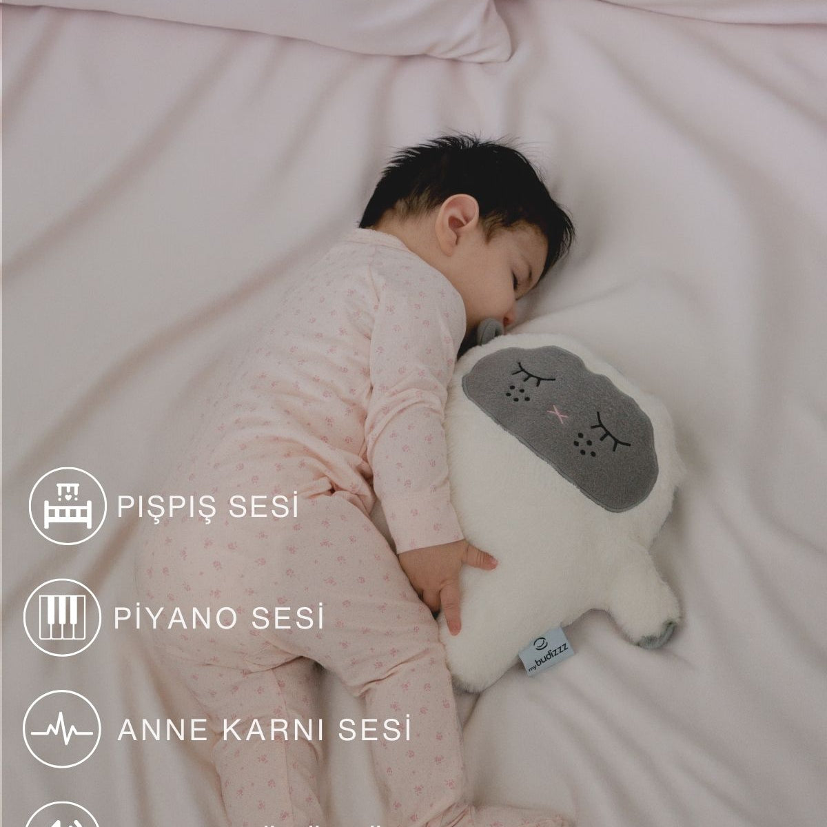 uyku arkadaşı kuzu