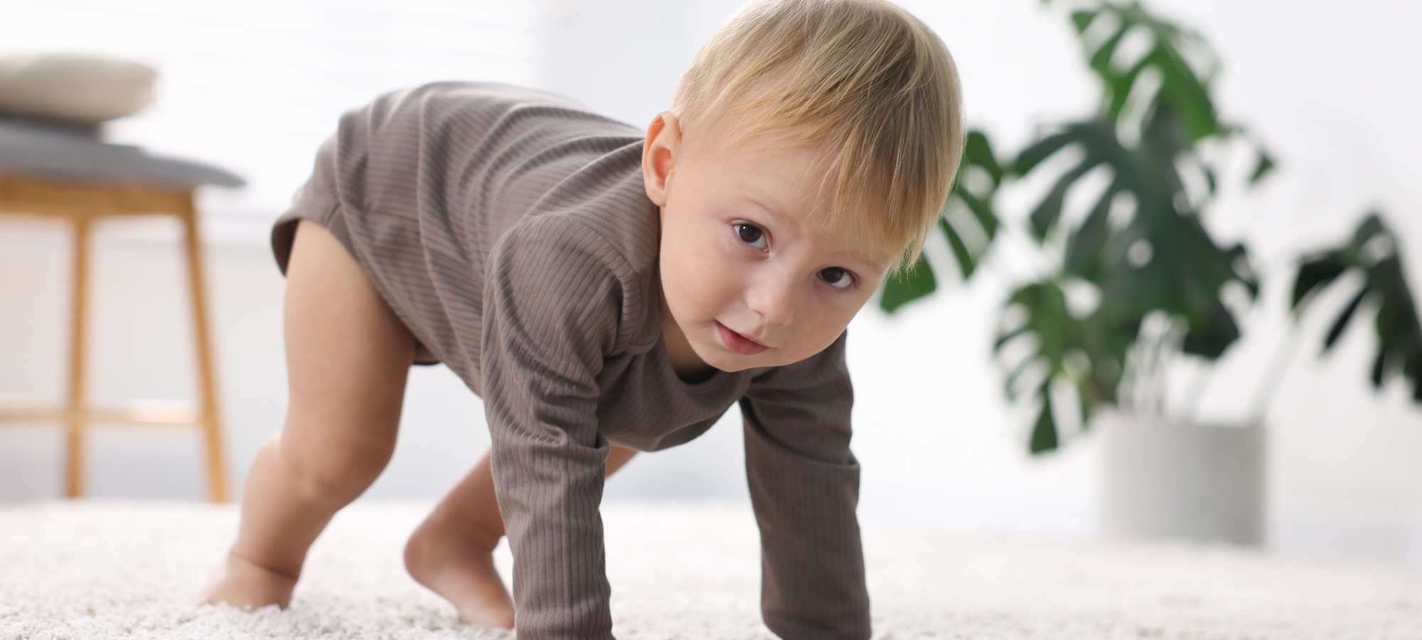 9 aylık bebek gelişimi
