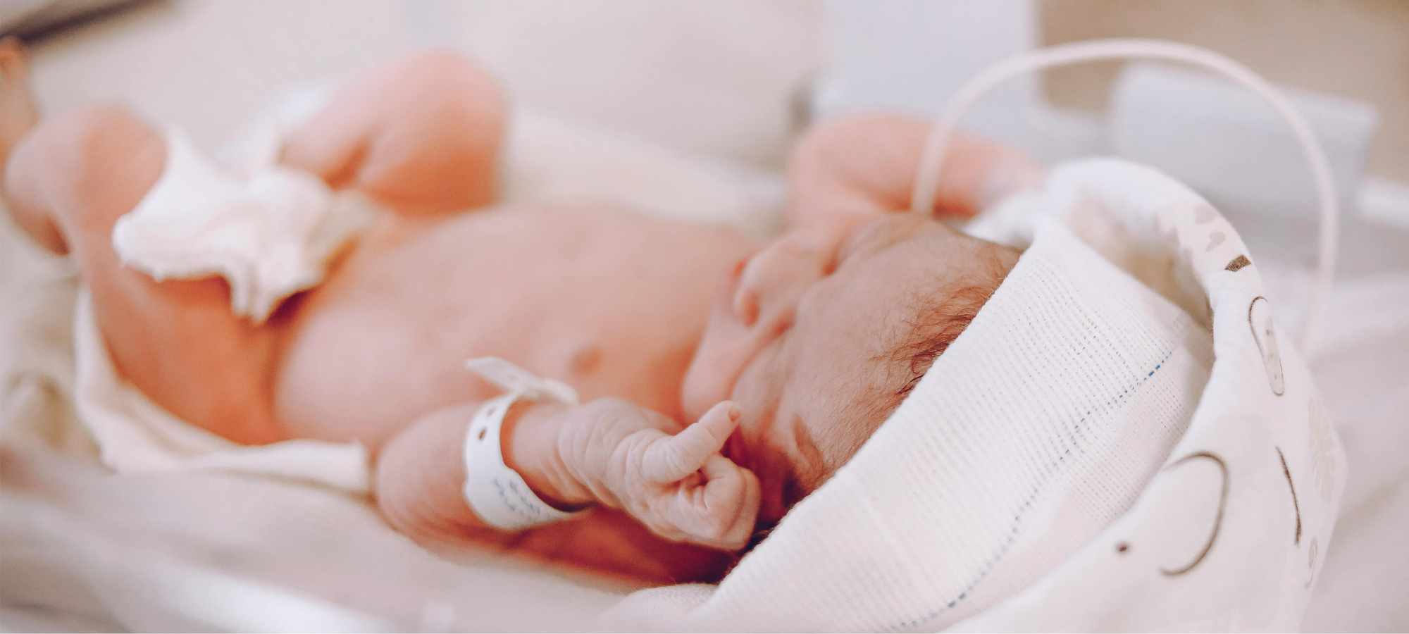 göbek bağı bakımı